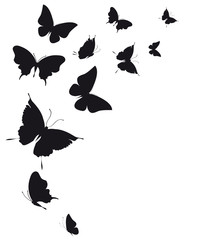 butterflies design - obrazy, fototapety, plakaty