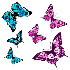 butterflies design