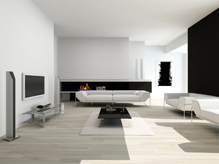 Luxurious black and white living room interior