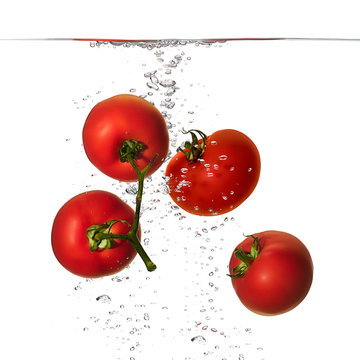 Fresh Red Tomatoes in Water Isolated on White Background