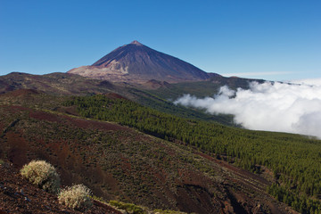 Teide - Teneriffa 3