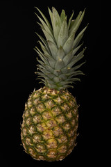 Ripe pineapple. Isolated on black