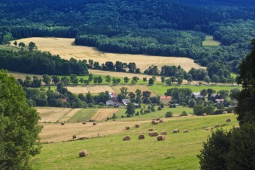 Fototapeta na wymiar Latem krajobrazu wiejskiego z pola i siana