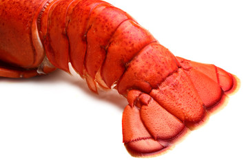 .Lobster tail