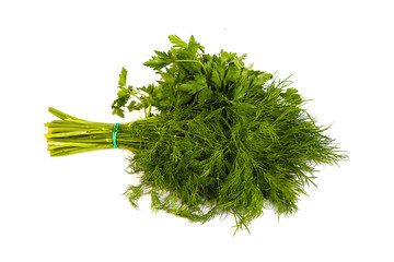 Fresh branches of green dill and Parsley tied isolated