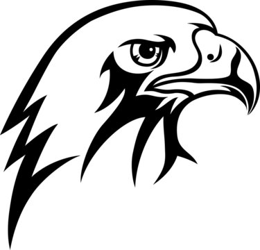 Eagle Face Logo, art vector design