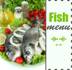 Dorado fish close-up