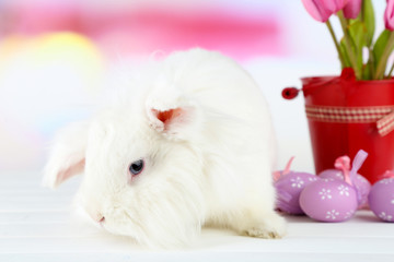 White cute rabbit and Easter composition