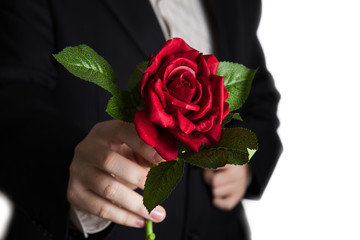 Male hand presenting a red rose