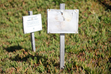 Holzschilder auf der Wiese