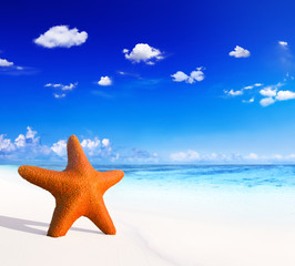 Naklejka na ściany i meble Starfish on the sand