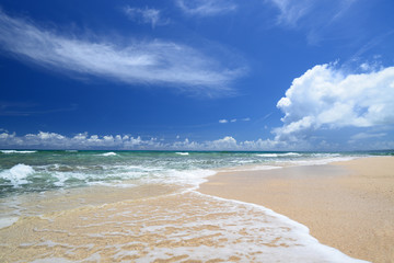 南国の美しいビーチと紺碧の空
