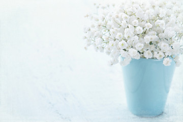 Baby's breath flowers in a vase