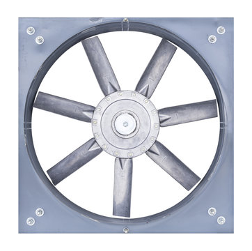 fan