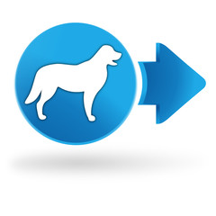 chien sur symbole web bleu