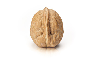 Isolated walnut on white background