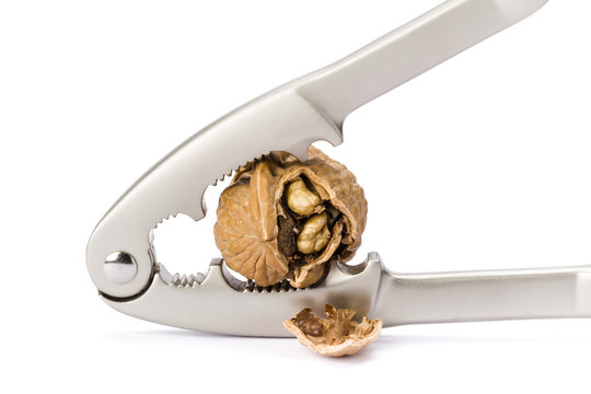 wal nut and nutcracker on white background