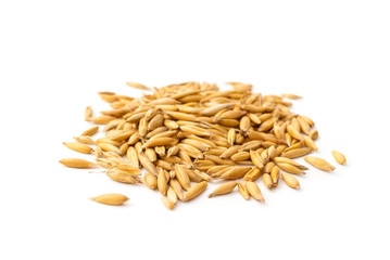 oat grains pile