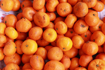 orange fruits in the market