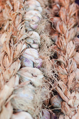 Braid of garlic at greek market