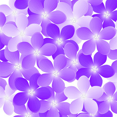 Purple flowers for Your design