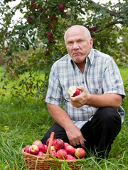  man with  basket of apples