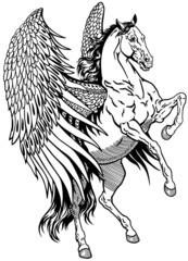 white pegasus