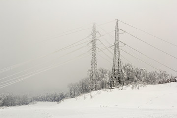 Power lines covered in snow