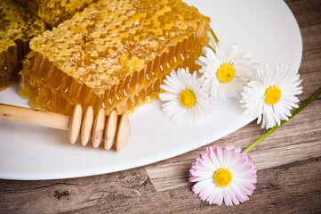 Obraz na płótnie Canvas honeycomb with daisies on white plate