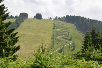 Sommerrodelbahn