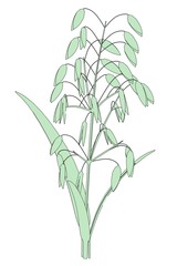 cartoon image of oat plant