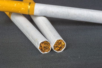 Tobacco cigarette macro