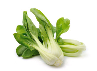 Bok choy (chinese cabbage) isolated on white background