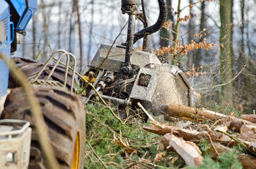 Ein Holzvollernter bei der Arbeit