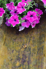 Flowers and Rings