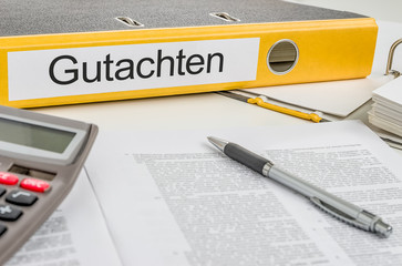 Aktenordner mit der Beschriftung Gutachten