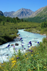 Altai. The river Karakabak.