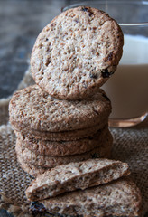 chocolate chip cookies