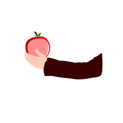 apple in hand color vector