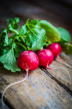 Radishes on rustic wooden background