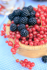 raspberries and redcurrants