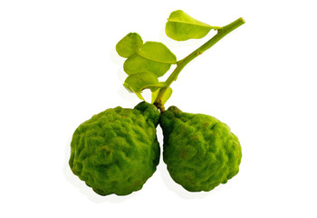 Kaffir lime isolate on white background