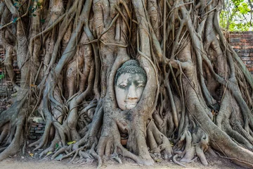 Zelfklevend Fotobehang Buddha Head banyan tree Wat Mahathat Ayutthaya bangkok thailand © snaptitude