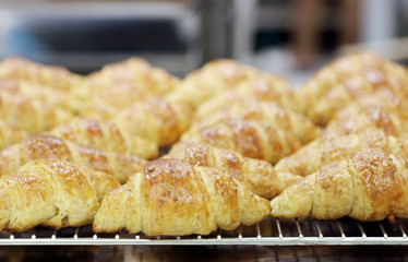 croissants out of oven