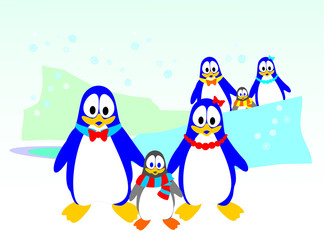 penguin family