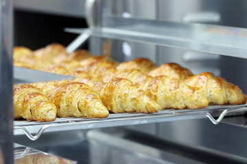 croissants out of oven