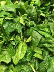 spinaci freschi sl mercato