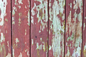 Old dirty hardwood door surface