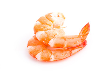 Shrimp