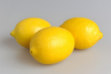 Three lemons on the gray